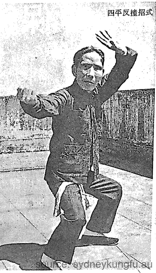 Buk Sing Choy Lee Fut — sei ping maa 四平馬 counter-strike