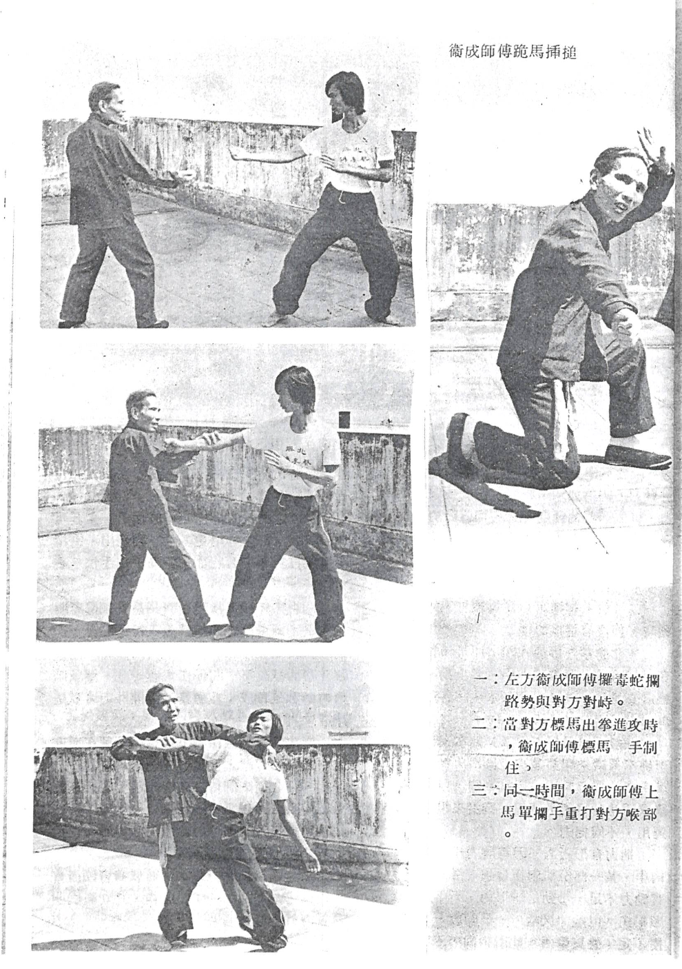 Buk Sing Choy Lee Fut — gwai maa 跪馬 caap ceoi 插搥