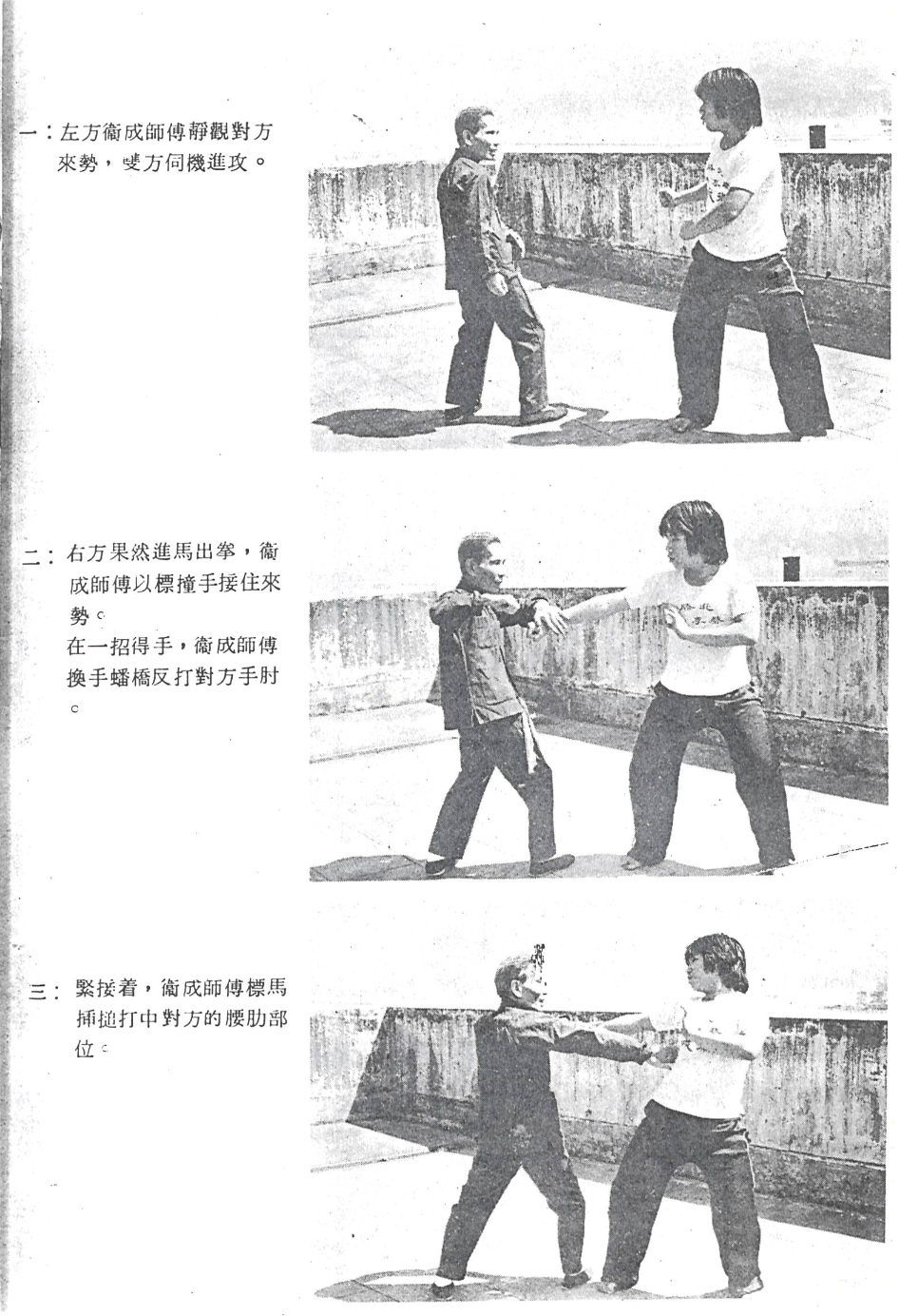 Buk Sing Choy Lee Fut — pun kiu 盤橋 caap ceoi 插搥