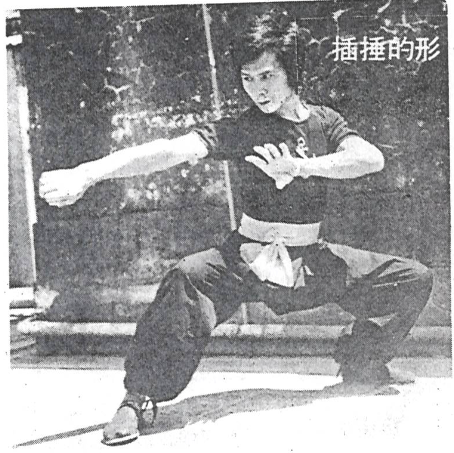 蔡李佛朱兆基插捶的形