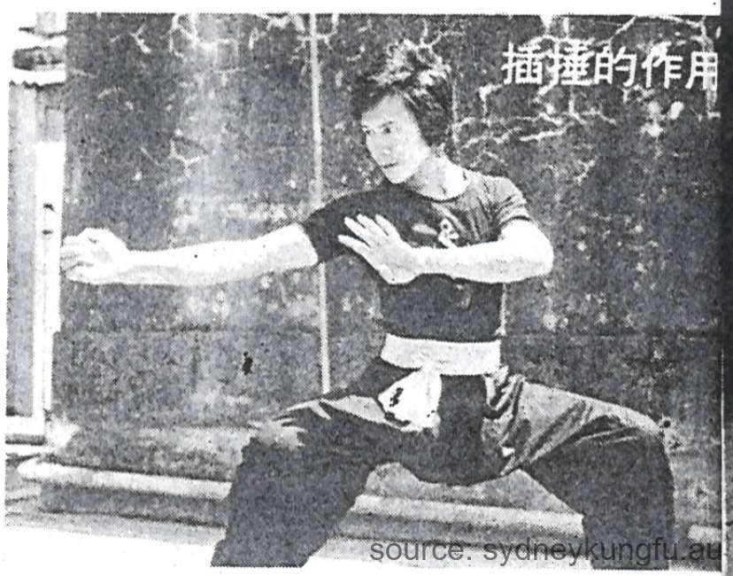 蔡李佛朱兆基插捶的作用