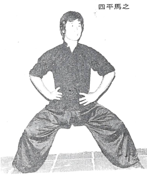 Choy Lee Fut 蔡李佛 Lee Koon Hung Sei Ping Maa 四平馬