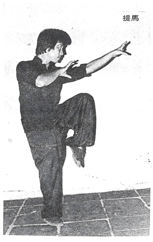 Choy Lee Fut 蔡李佛 Lee Koon Hung Tai Maa 提馬