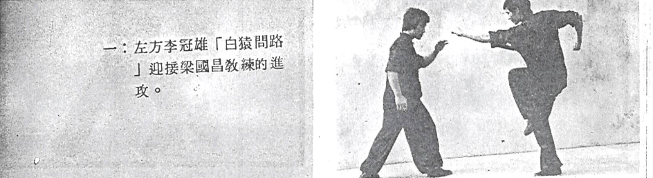 Circling Stance Combat Application 1