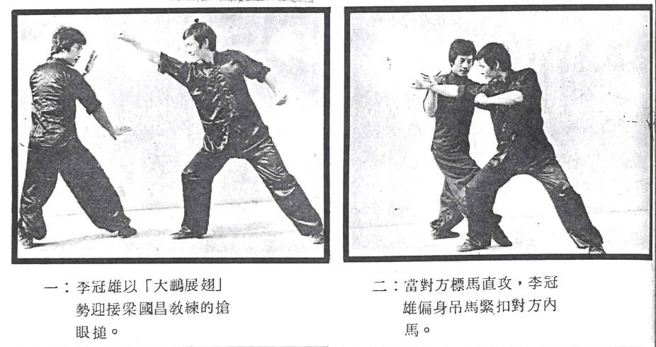 Stealing Spring Stance Combat Application 1