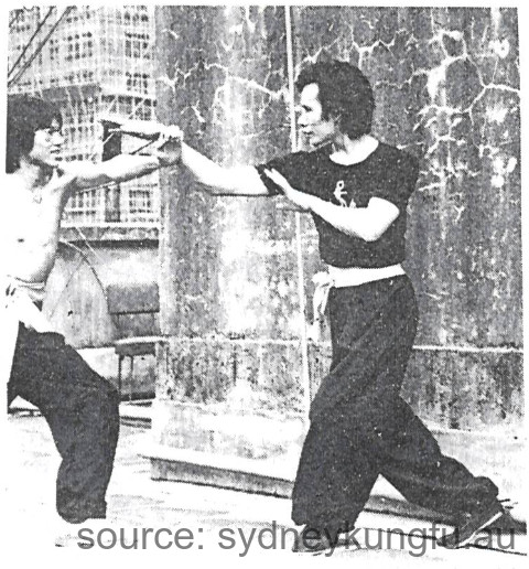 蔡李佛掛眉脚法 2