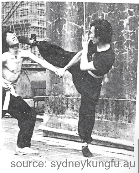 蔡李佛掛眉脚法 3