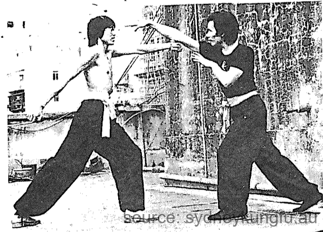 蔡李佛直蹬脚法 1