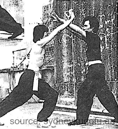 蔡李佛直蹬脚法 2