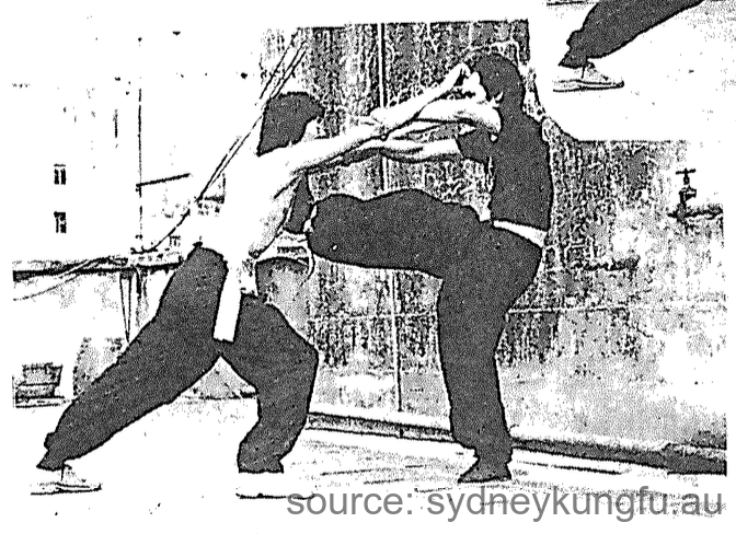 蔡李佛直蹬脚法 3