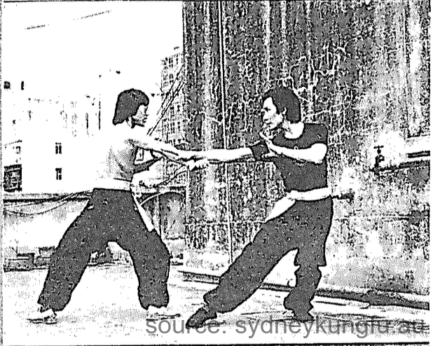 蔡李佛側撑脚法 2