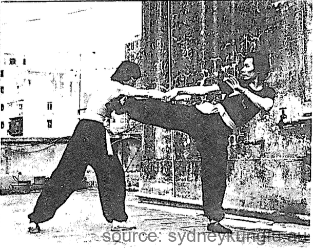 蔡李佛側撑脚法 3