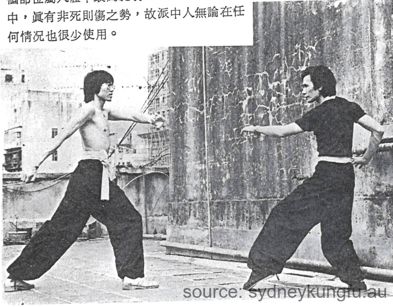 蔡李佛撩陰脚法 1