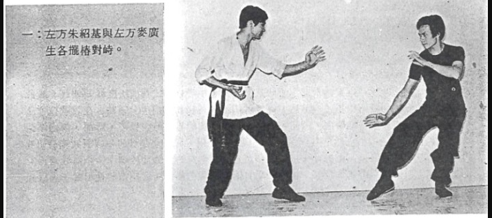 蔡李佛鏟腳示範