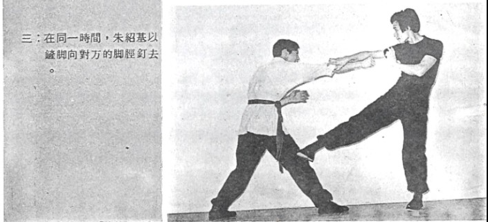 蔡李佛鏟腳示範