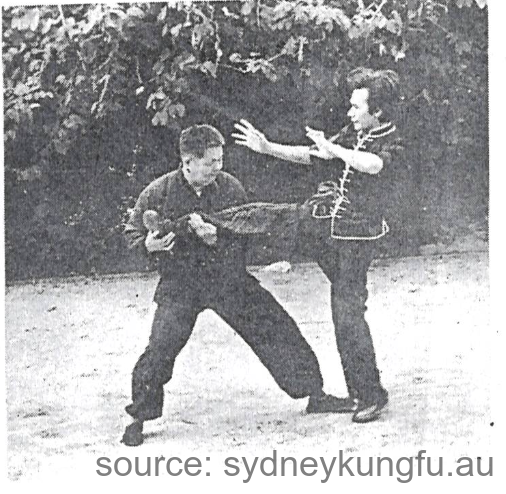 Choy Lee Fut 蔡李佛 Master Chu Shiu Ki 朱兆基 preparing to attack