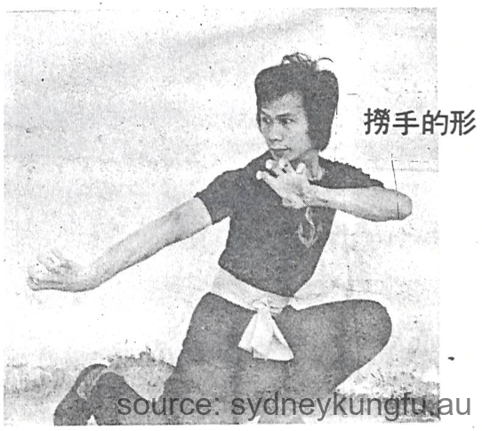 Form of Lao Sau 撈⼿