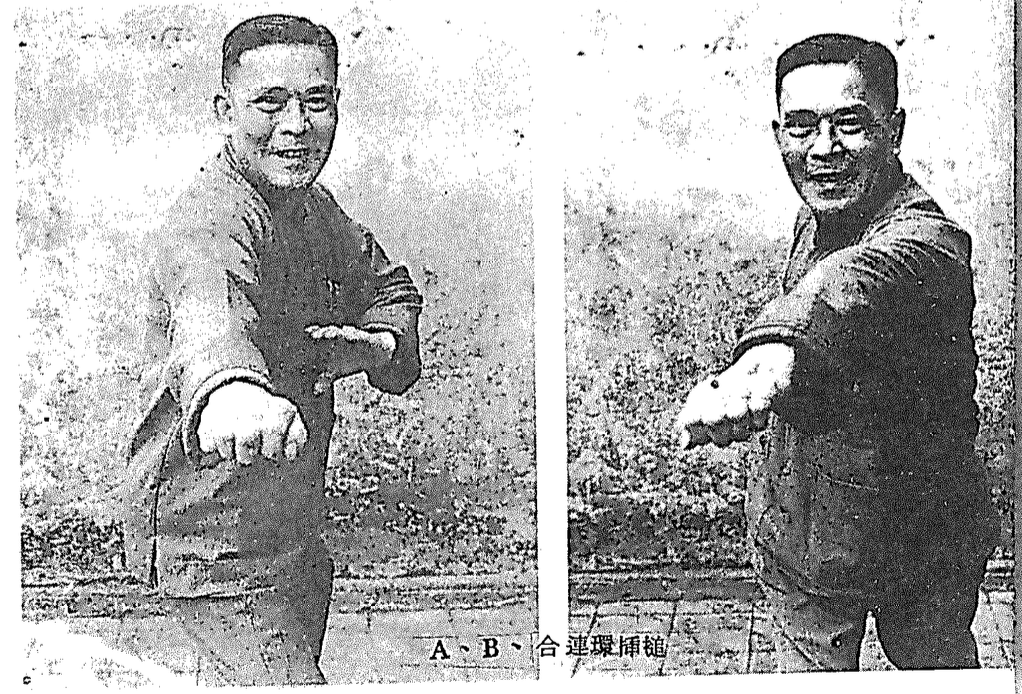 Buk Sing Choy Lee Fut 李秋 Grandmaster jam caap ceoi 插搥