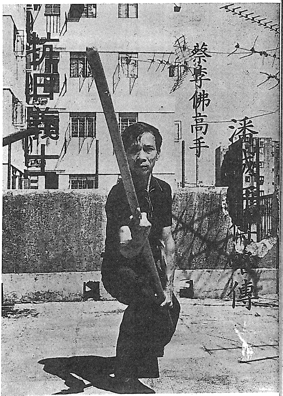 Choy Lee Fut 蔡李佛 – Poon Sing 宗師