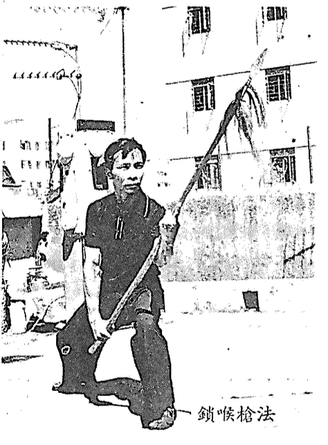 Choy Lee Fut 蔡李佛 – Poon Sing 宗師 Lock-Throat Spear Technique