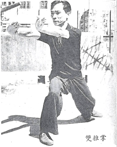 Choy Lee Fut 蔡李佛 – Poon Sing 宗師 Double Pushing Palms