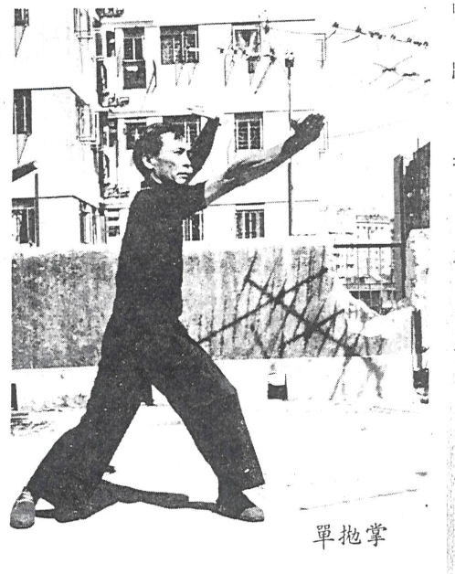 Choy Lee Fut 蔡李佛 – Poon Sing 宗師 Single Throwing Palm