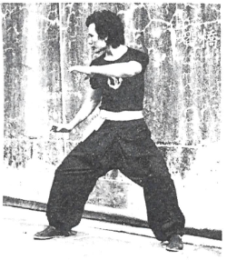 Choy Lee Fut 蔡李佛 Chu Siu Kee preparing to attack