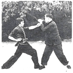 Choy Lee Fut 蔡李佛 Elder Du Hon Cheung preparing Pun Kiu 蟠橋 interception