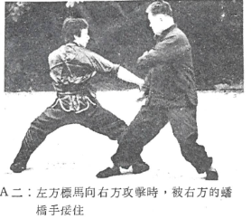 Choy Lee Fut 蔡李佛 Pun Kiu 蟠橋 practical application by Elder Du Hon Cheung and Chu Siu Kee