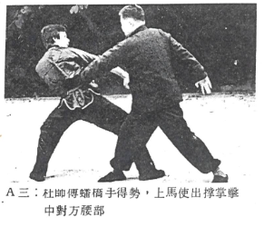 Choy Lee Fut 蔡李佛 Pun Kiu 蟠橋 practical application by Elder Du Hon Cheung and Chu Siu Kee