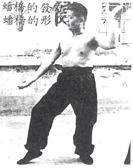 Choy Lee Fut 蔡李佛 Elder Du Hon Cheung Pun Kiu 蟠橋