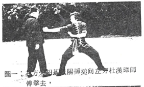 Choy Lee Fut 蔡李佛 Pun Kiu 蟠橋 practical application by Elder Du Hon Cheung and Chu Siu Kee
