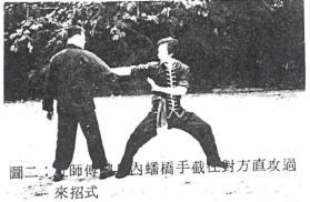 Choy Lee Fut 蔡李佛 Pun Kiu 蟠橋 practical application by Elder Du Hon Cheung and Chu Siu Kee