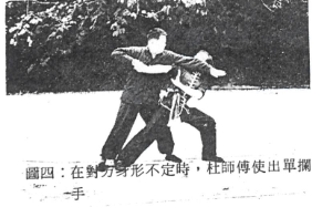 Choy Lee Fut 蔡李佛 Pun Kiu 蟠橋 practical application by Elder Du Hon Cheung and Chu Siu Kee