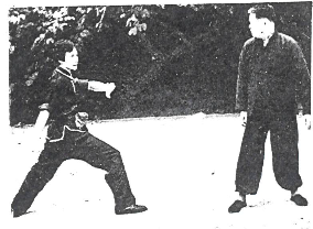 Choy Lee Fut 蔡李佛 Elder Du Hon Cheung and Chu Siu Kee demonstrating Sau Ceoi 捎搥