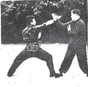 Choy Lee Fut 蔡李佛 Elder Du Hon Cheung and Chu Siu Kee demonstrating Sau Ceoi 捎搥