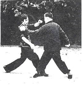 Choy Lee Fut 蔡李佛 Elder Du Hon Cheung and Chu Siu Kee demonstrating Sau Ceoi 捎搥