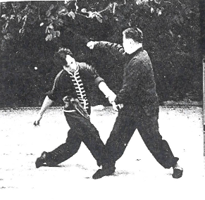 Choy Lee Fut 蔡李佛 Elder Du Hon Cheung and Chu Siu Kee demonstrating Sau Ceoi 捎搥