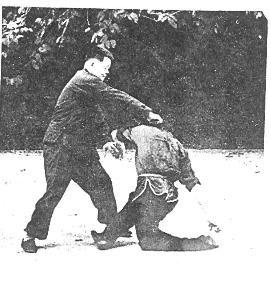 Choy Lee Fut 蔡李佛 Elder Du Hon Cheung and Chu Siu Kee demonstrating Sau Ceoi 捎搥