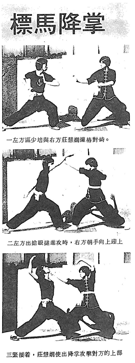 蔡李佛標馬降掌