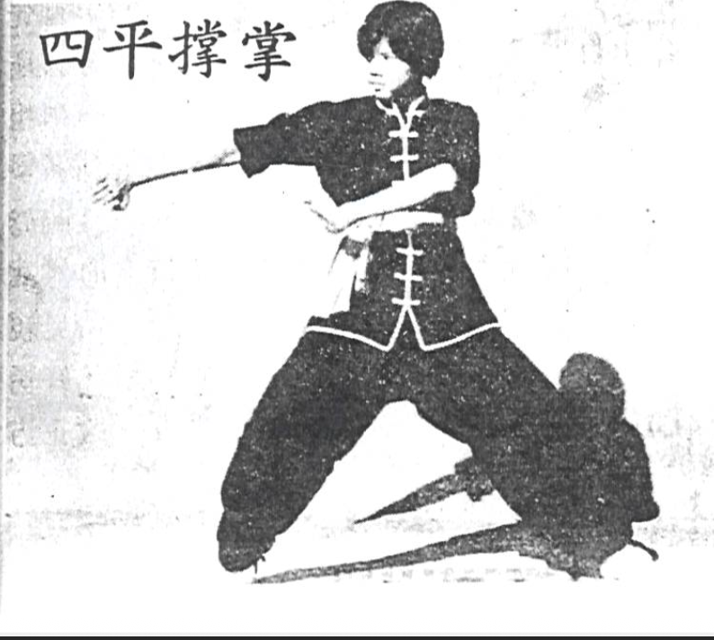 蔡李佛四平撐掌