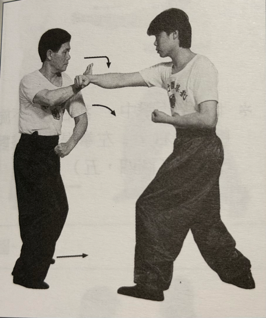 Choi Mok Pai Bin Kyu 蔡莫派 鞭橋