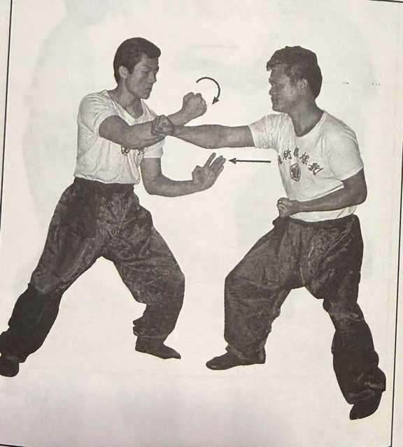 Choi Mok Pai Che Sau 蔡莫派 車手