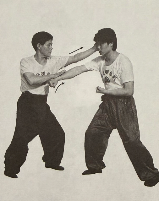 Choi Mok Pai Windmill 蔡莫派 風車手